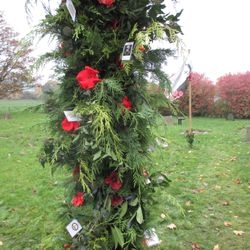 Poppies and greenery decorating an upright of the EverGreen Arch.