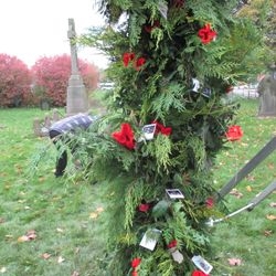 Remembrance decorations and poppies on the EverGreen Arch.