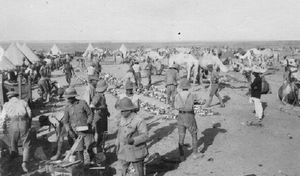 Soldiers on parade in Egypt.