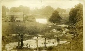 Damaged buildings and trees beside water on the Western Front.